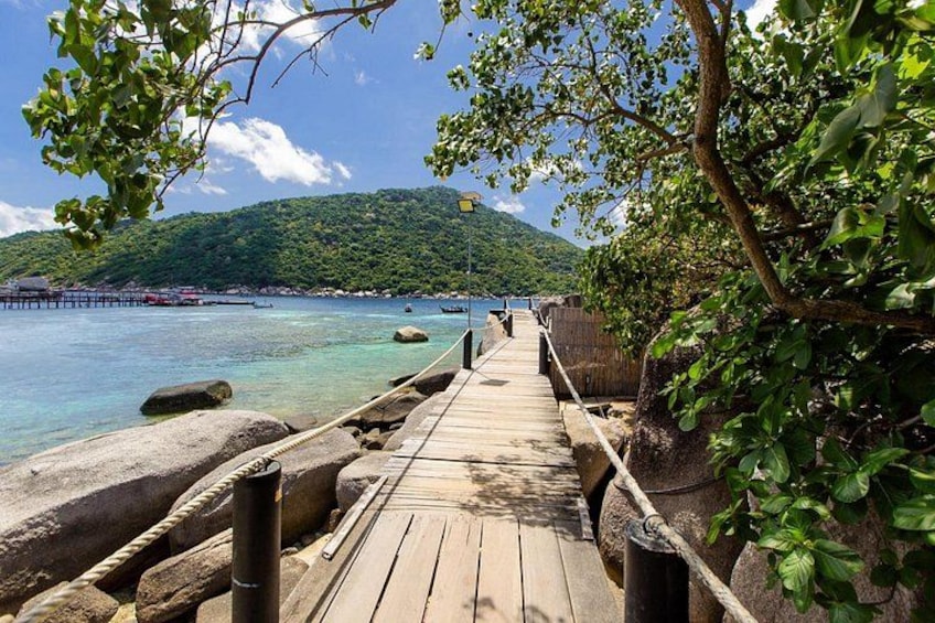 Koh Tao and Koh Nang Yuan Snorkel Paradise from Koh Samui 4
