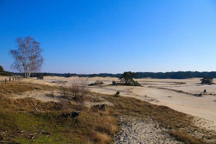 A dry, open landscape with sparse vegetation, a wooden fence, and a clear blue sky. 5