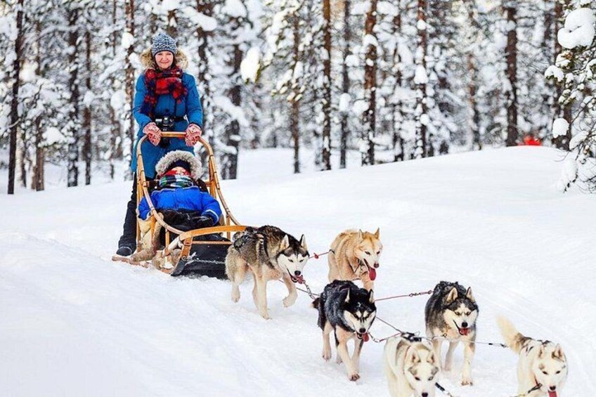 Un trineo tirado por perros a través de un bosque nevado. 3