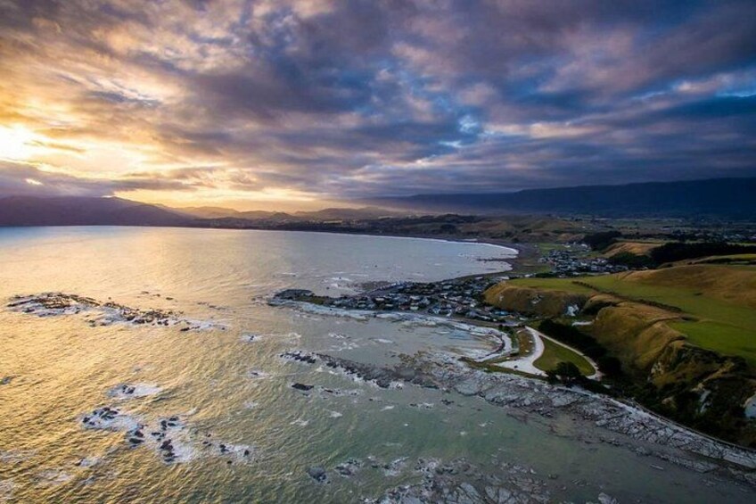 Kaikoura Kayaking Adventure Small Group Tour from Christchurch 3