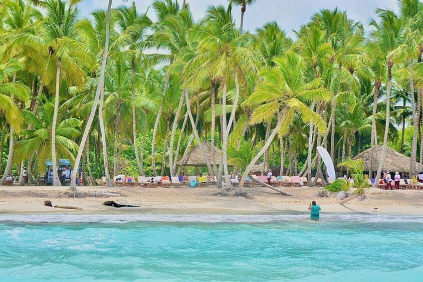 Una playa con palmeras, una cabaña y una persona en el agua. 2