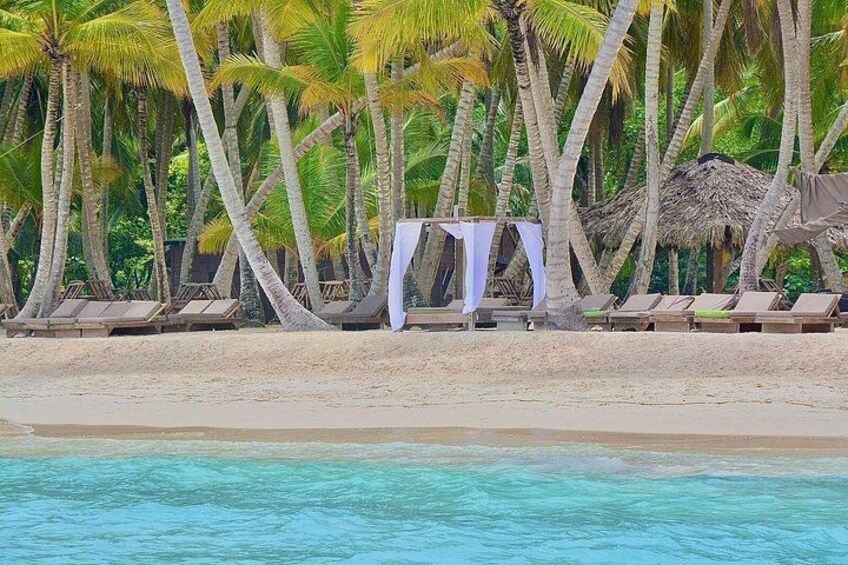 Una playa con palmeras, sillas de descanso y una cabaña de techo de paja. 3