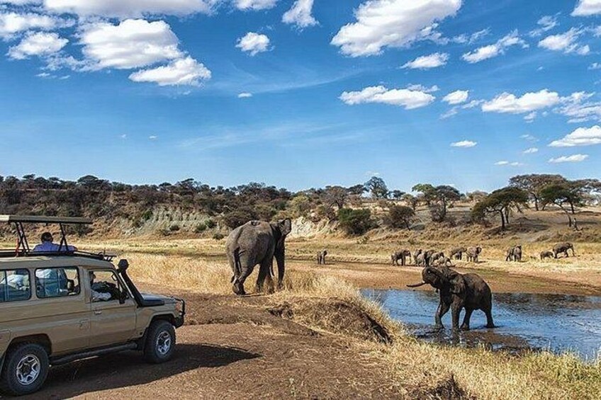 A safari vehicle, elephants, and a waterhole in a savannah landscape. 3