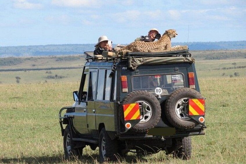 8 Days Masai Mara Lake Manyara, Ngorongoro and Serengeti Safari 1