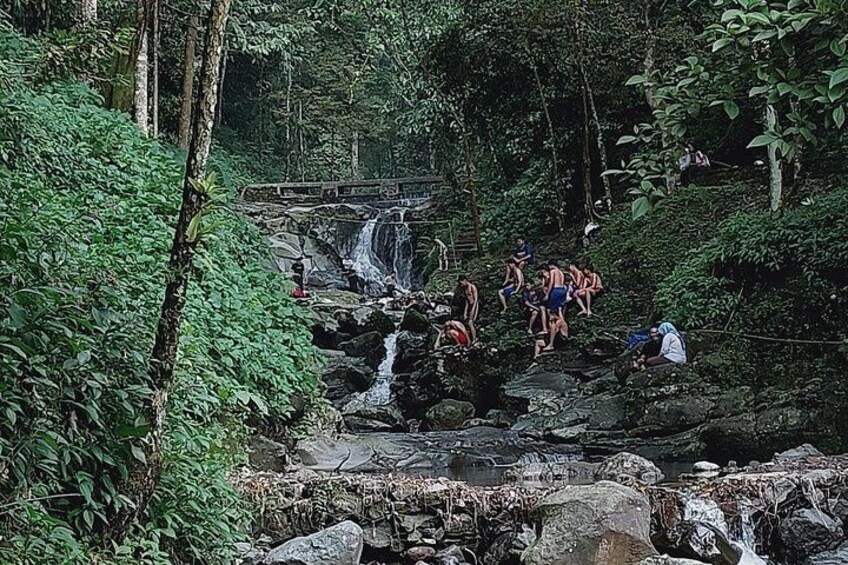 Jakarta Bogor Botanical Garden, Ricefield, Waterfall Shared Tour 3