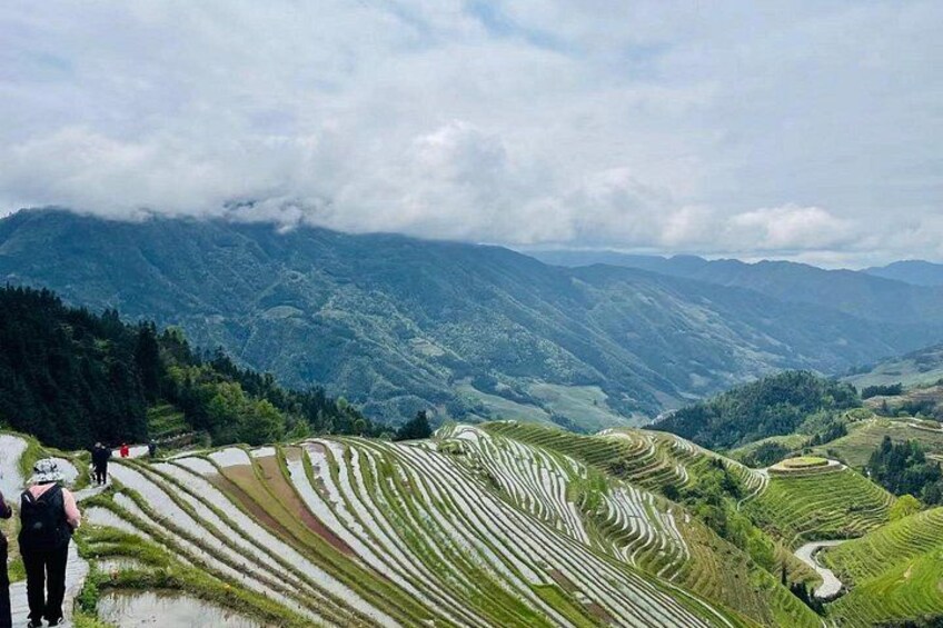 Private Day Tour: Longji Terraces Cultural Villages and Hike 3