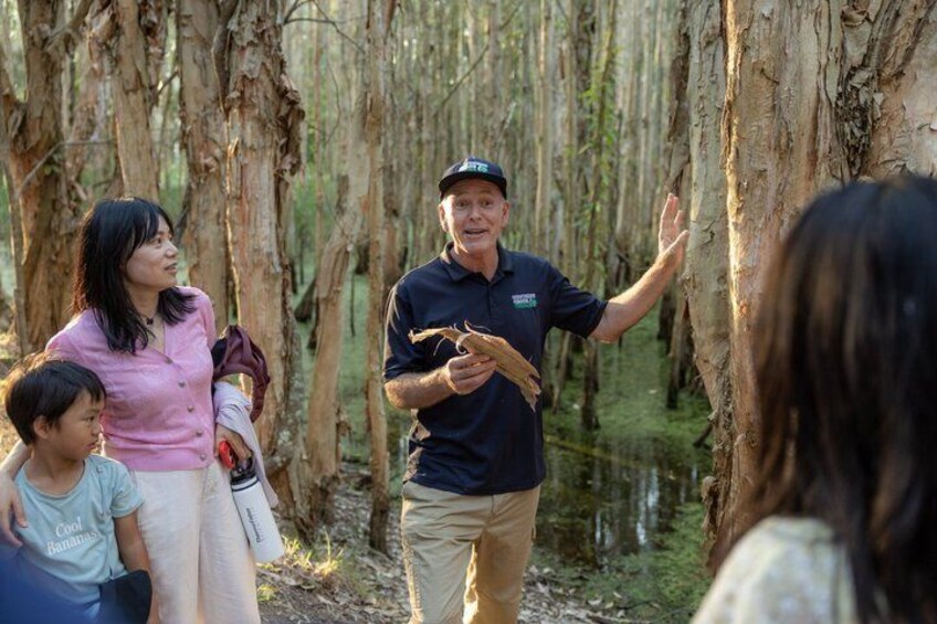 Kangaroos, Koalas & Tamborine Mountain Tour from Gold Coast 5