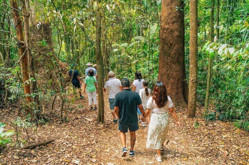 Kangaroos, Koalas & Tamborine Mountain Tour from Gold Coast 4