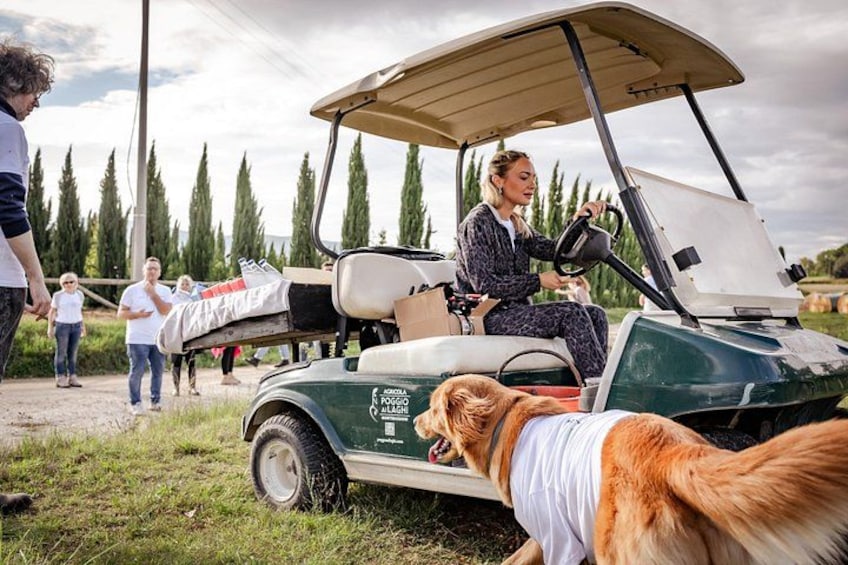 Ein Golfmobil mit einem Hund an der Seite, eine Person fährt, und eine Gruppe von Menschen ist im Hintergrund zu sehen. 4