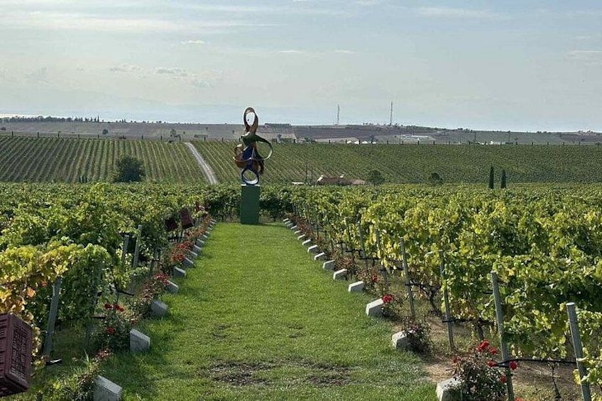 A vineyard with rows of grapevines, a statue, and a distant view of the landscape. 3