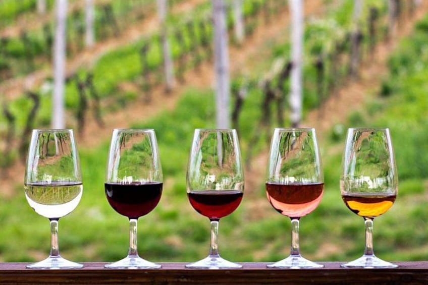 Five wine glasses with different colored liquids on a wooden surface against a vineyard backdrop. 5