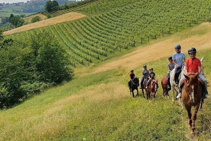 Horse Riding Adventure in Langhe: Piemonte's Scenic Vineyards 1