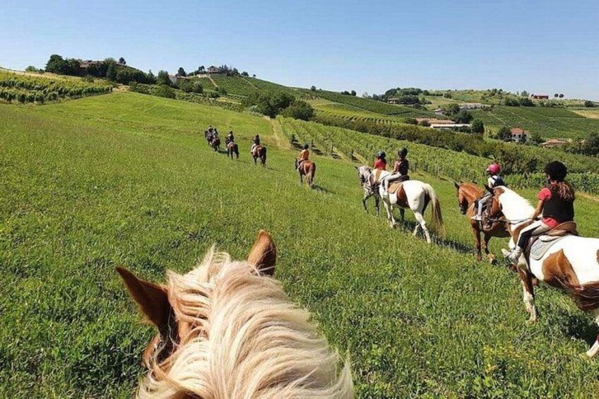 A group of people riding horses on a grassy hillside. 2