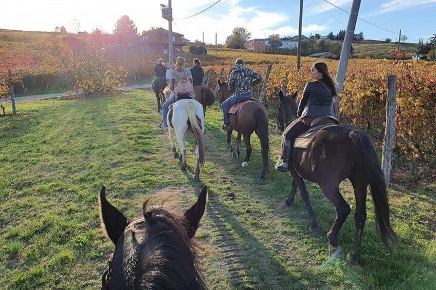 Horse Riding Adventure in Langhe: Piemonte's Scenic Vineyards 5