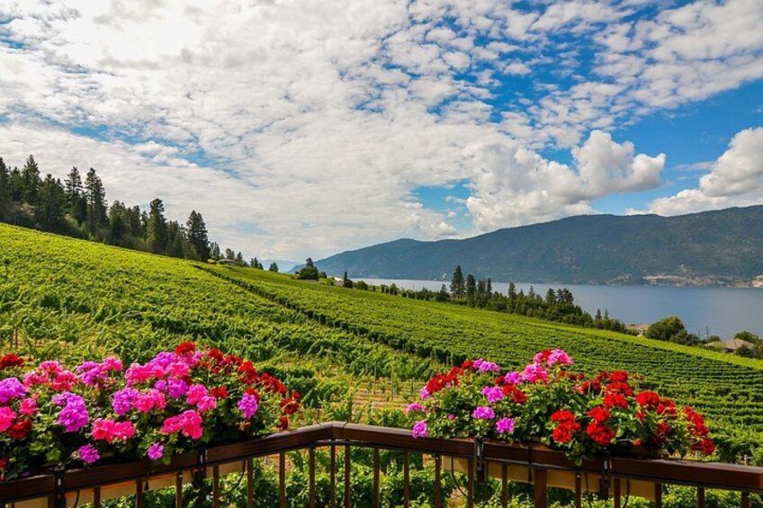 Sip & Savor: Private West Kelowna Wine Trail Escape 1