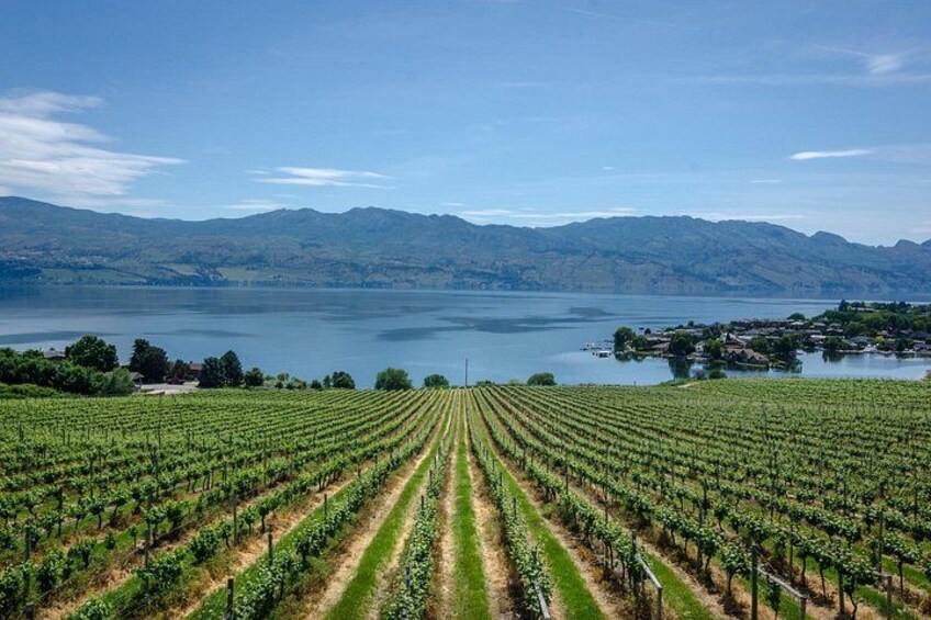 Sip & Savor: Private West Kelowna Wine Trail Escape 2