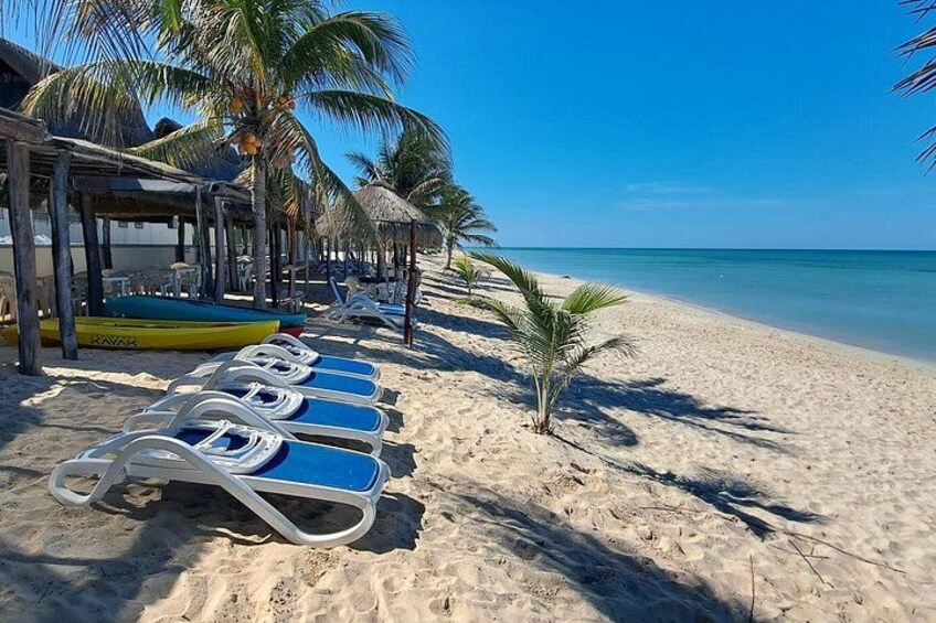 Ein Strand mit Liegestühlen, Palmen und blauem Himmel. 1