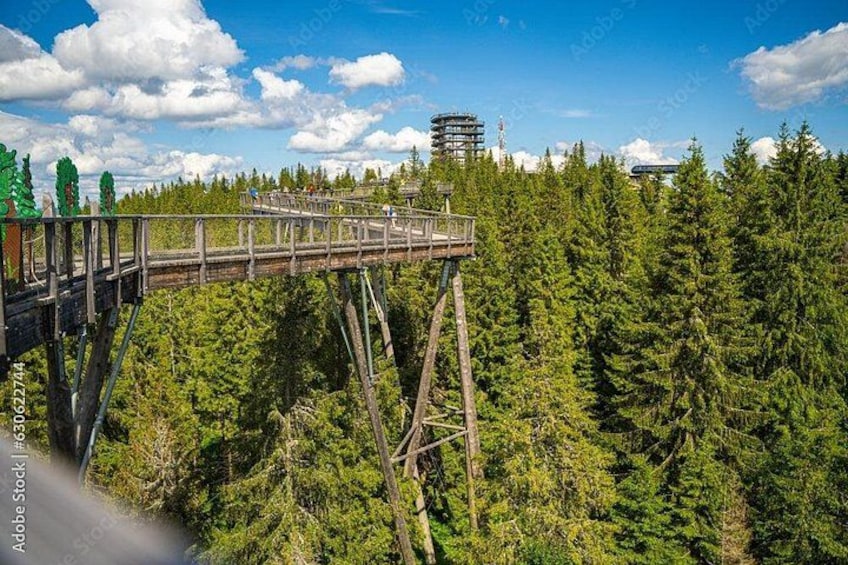 Dunajec River Gorge Rafting and Tree Top Walk from Krakow 3