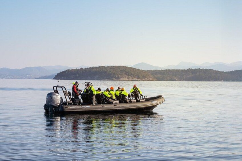 RIB adventure in the Lysefjord with fjord sightseeing 2