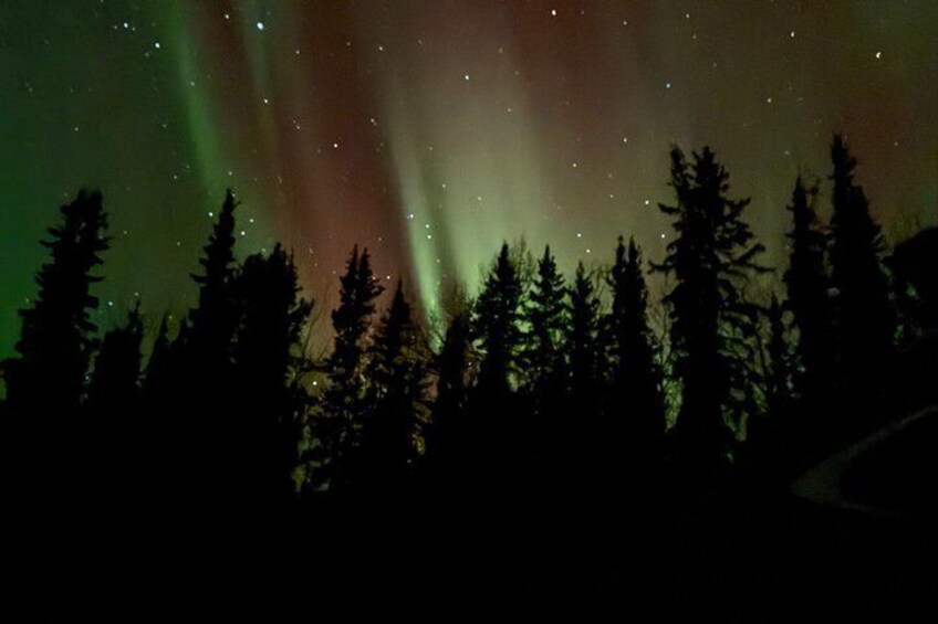 Fairbanks Alaska Luxury Car Private Tour 3