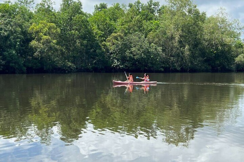 Dos personas remando un canoa en un río tranquilo bordeado de vegetación densa. 2