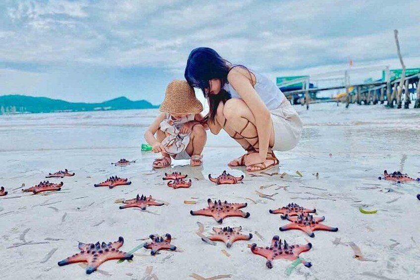 Dos personas jugando con estrellas de mar en una playa con un muelle al fondo. 5