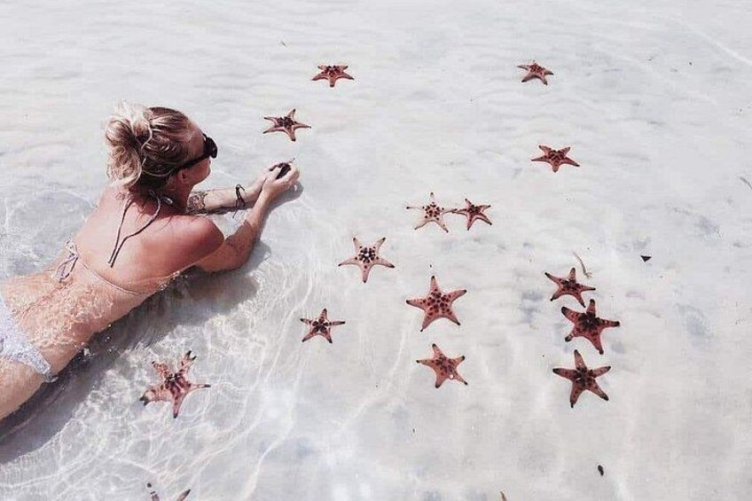 Una persona en traje de baño recostada en una playa arenosa con estrellas de mar dispersas. 4
