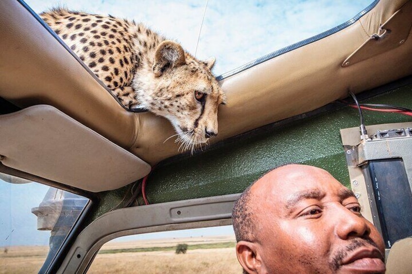 3-Days Masai Mara Lodge Safari 3