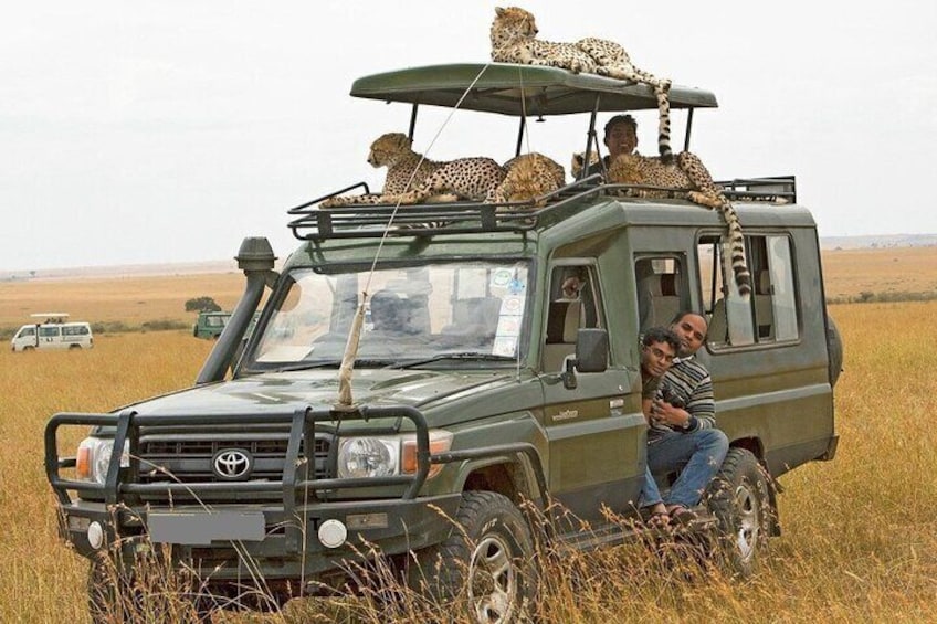 3-Days Masai Mara Lodge Safari 4