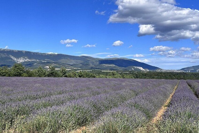 The magnificent villages of the Luberon on a private day 4