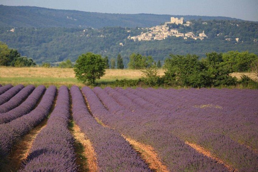 The magnificent villages of the Luberon on a private day 3