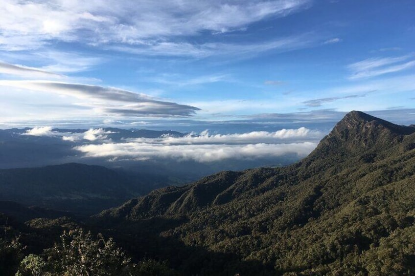 Paesaggio montuoso con una cima prominente, fitta foresta e uno strato di nuvole in basso. 2