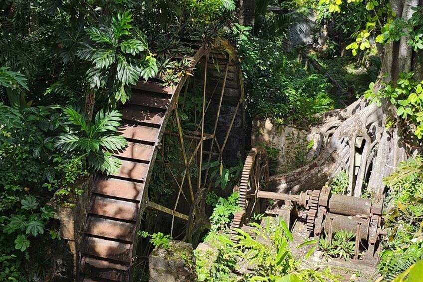 A rusted water wheel in a forested area with dense foliage. 1