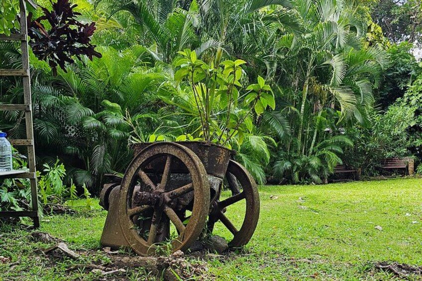 A rusty water wheel in a lush garden with various tropical plants. 4
