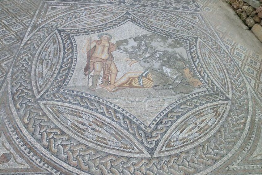 Un mosaico dettagliato con motivi geometrici e una scena centrale raffigurante una persona con un cane. 4