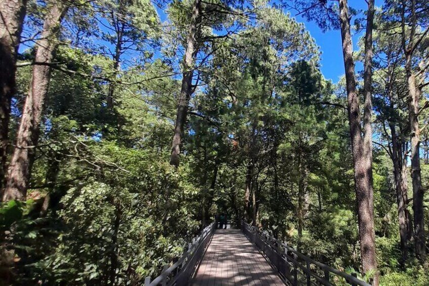 Boqueron park trails. Photo Benjamin RIvera 5