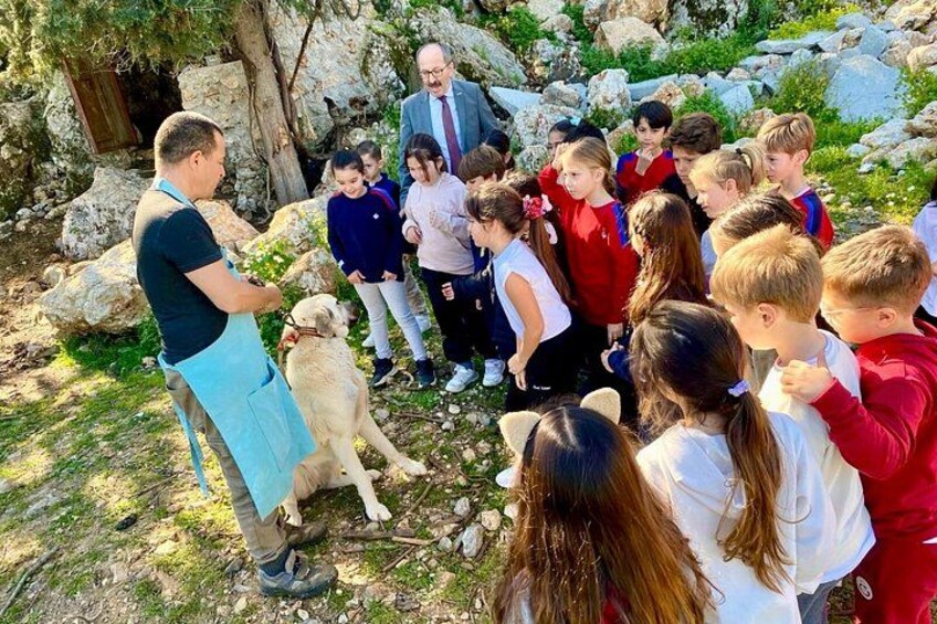 Un grupo de niños y adultos reunidos al aire libre, algunos interactuando con un perro. 4