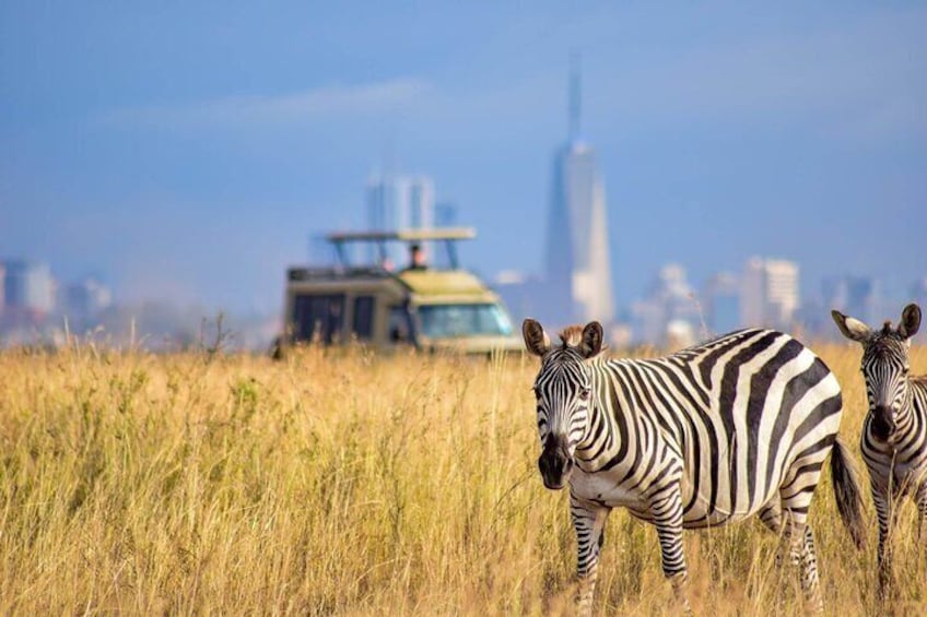 Nairobi Airport Layover Half Day Tour Nairobi National Park 2
