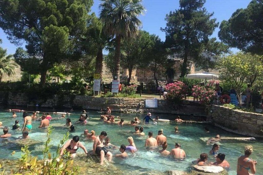 Een zwembad met mensen die van het water genieten, omringd door bomen en een stenen muur. 4