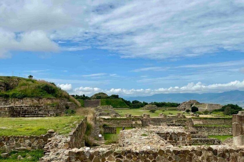Private Tour: monte Albán Teotitlan del valle & Hierve el agua 3