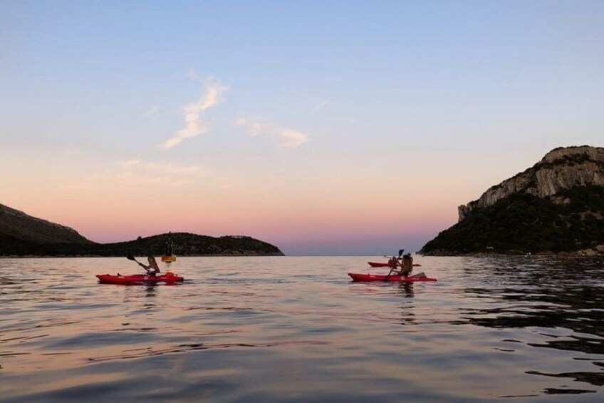 Golfo Aranci Kayak tour with aperitif and dolphin watching 2