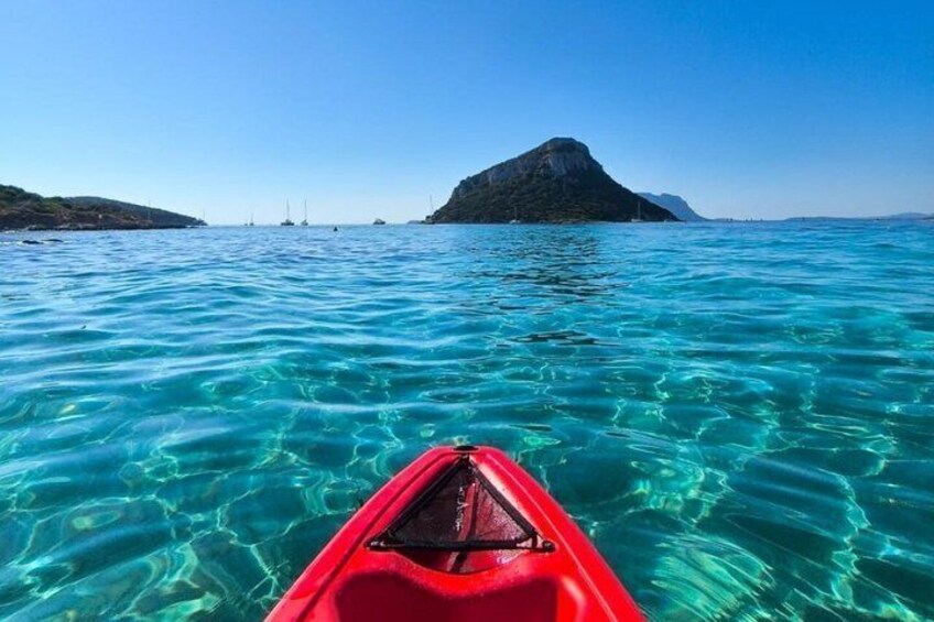 Golfo Aranci Kayak tour with aperitif and dolphin watching 3