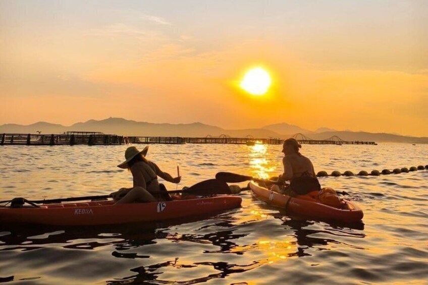 Golfo Aranci Kayak tour with aperitif and dolphin watching 5