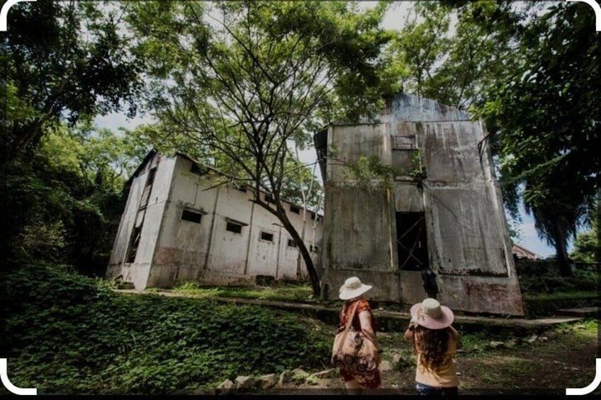 A dilapidated building surrounded by lush greenery. 5
