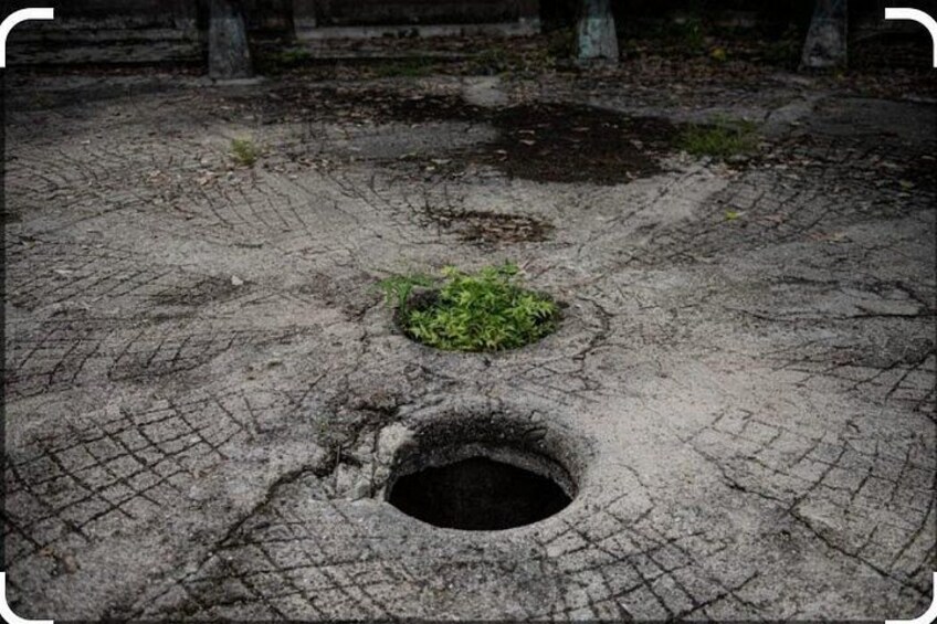 A concrete surface with a circular hole and a small patch of green moss. 4
