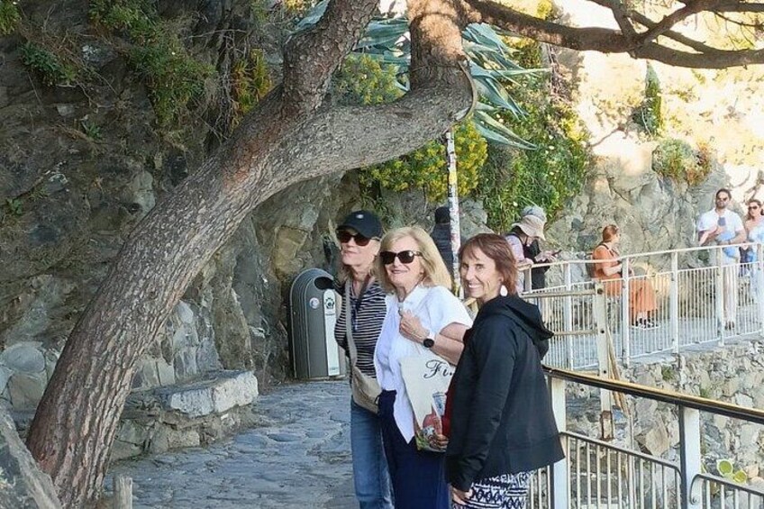 A stone pathway, a metal railing, and a tree. 5