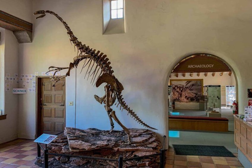 From Phoenix Shared Wupatki and Sunset Crater Monument Tour 4