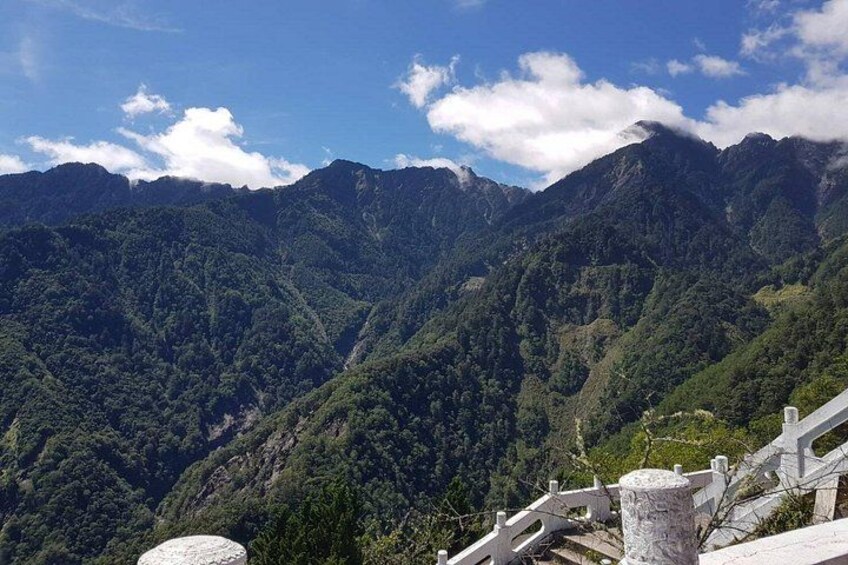 A mountainous landscape with dense green forests and a stone pathway. 5