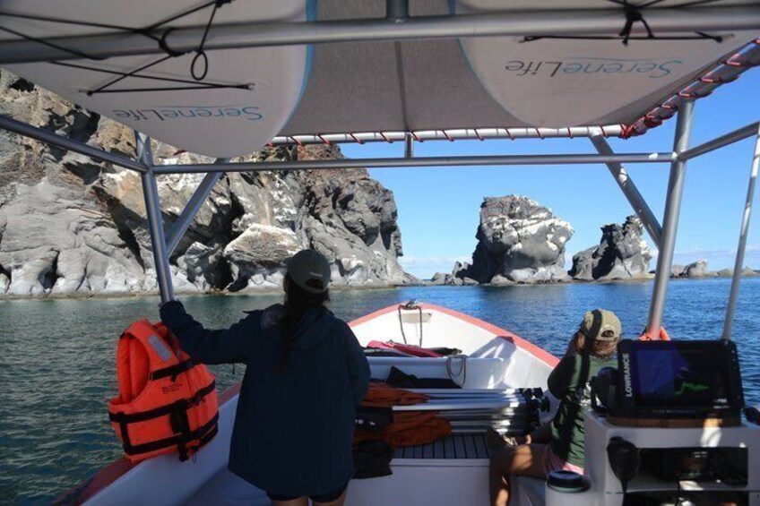 Coronado Island tour and swim with the sea lions 5