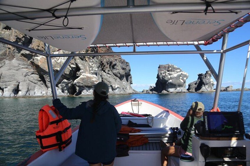 Coronado Island tour and swim with the sea lions 5